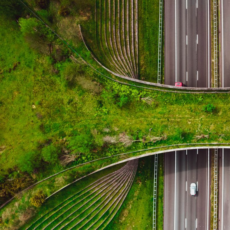 Aerial shot of a green wildlife crossing over a highway